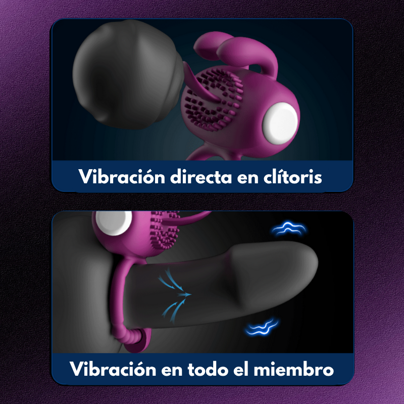 Anillo Vibrador Denver LILO LL-B2413
