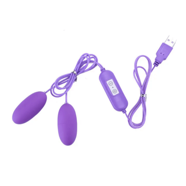 Huevo vibrador USB LoveEgg Twice
