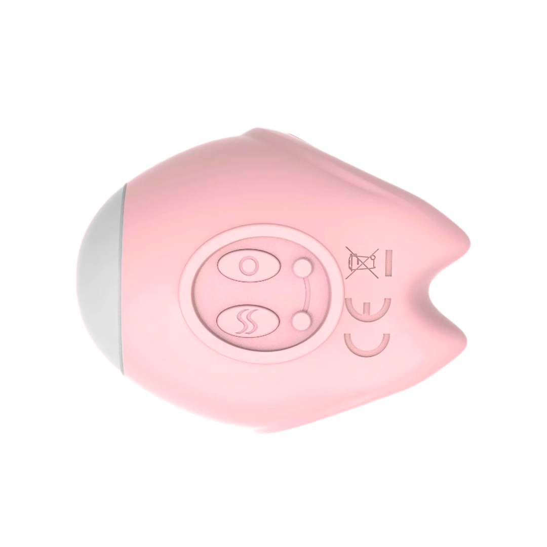 Succionador Ebao iflove240901